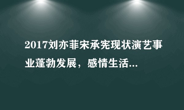 2017刘亦菲宋承宪现状演艺事业蓬勃发展，感情生活低调神秘