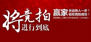 聚竞拍的发展历程