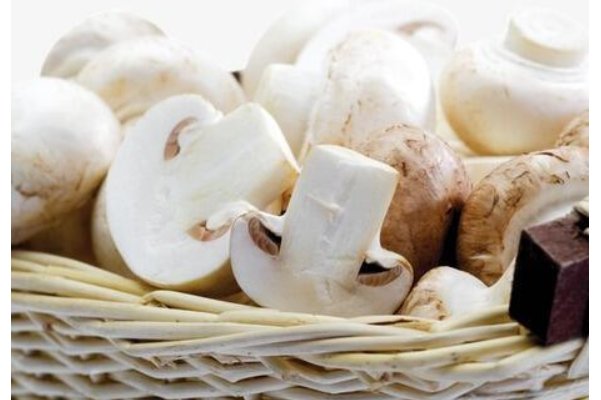 口蘑中的口字是什么