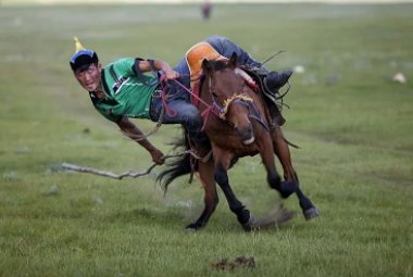 y m分别表示什么