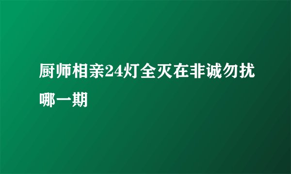 厨师相亲24灯全灭在非诚勿扰哪一期