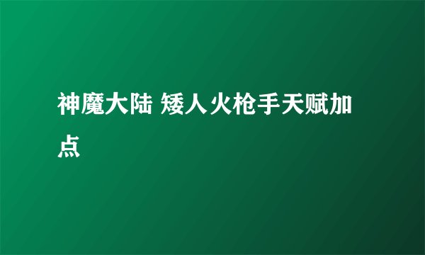神魔大陆 矮人火枪手天赋加点