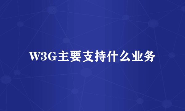 W3G主要支持什么业务