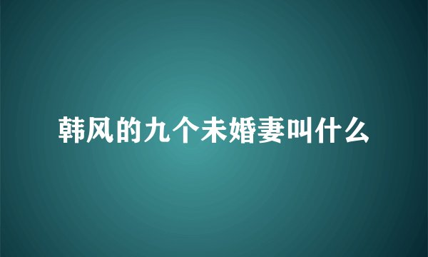 韩风的九个未婚妻叫什么