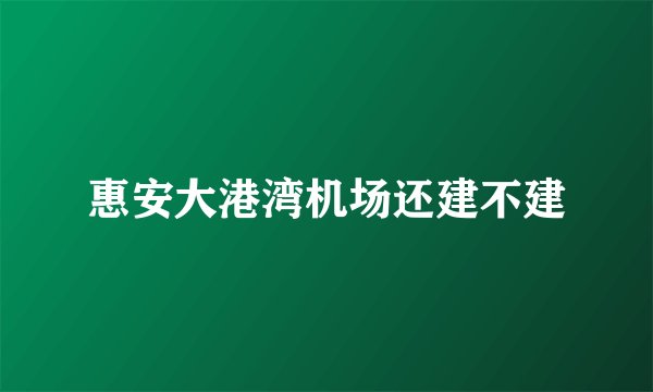 惠安大港湾机场还建不建
