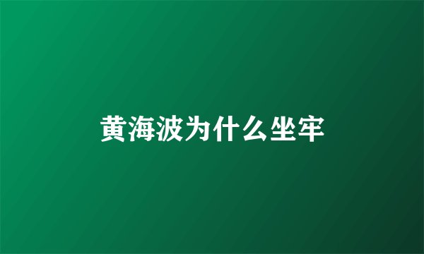黄海波为什么坐牢