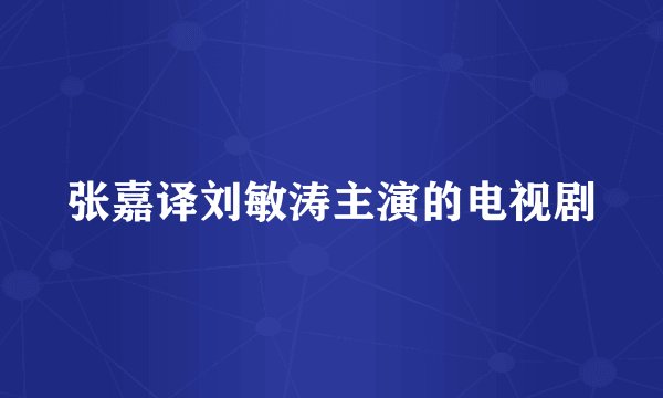张嘉译刘敏涛主演的电视剧