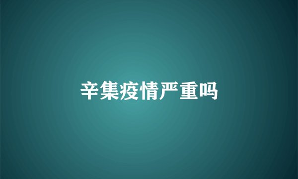 辛集疫情严重吗