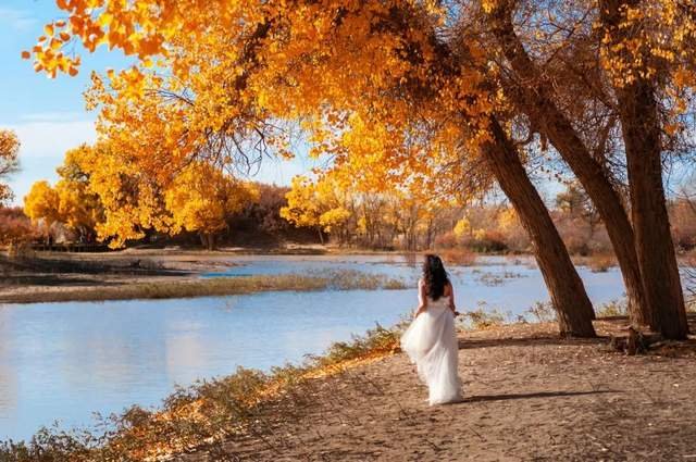 滞留额济纳旗的旅客希望包机回家，这样的愿望是否可行？