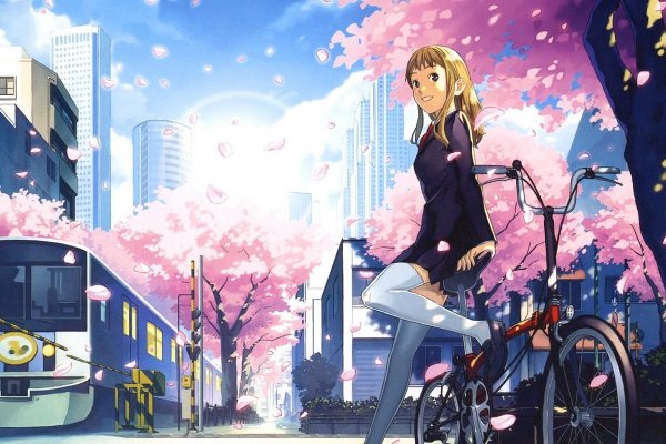 樱花动漫官方正版入口是什么