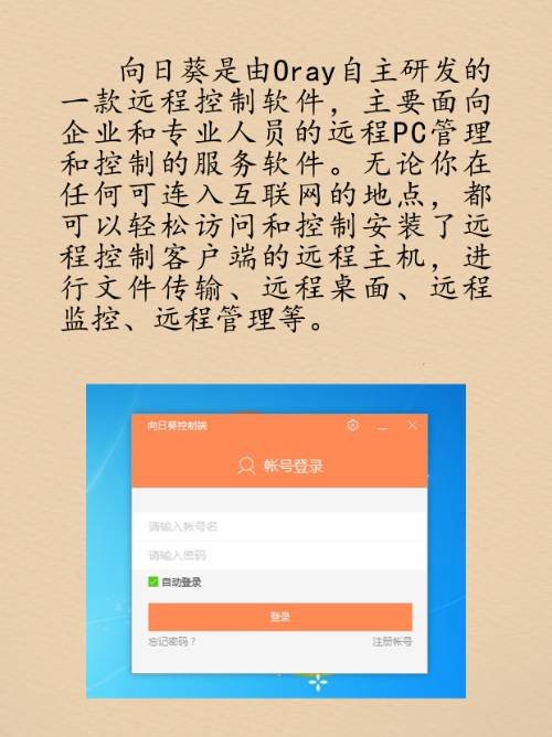 向日葵网页版怎么进