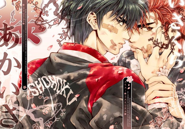 樱木樱的个人资料