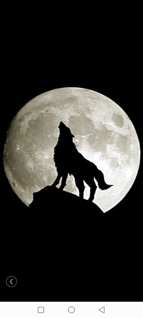 狼行千里吃肉下一句是什么？