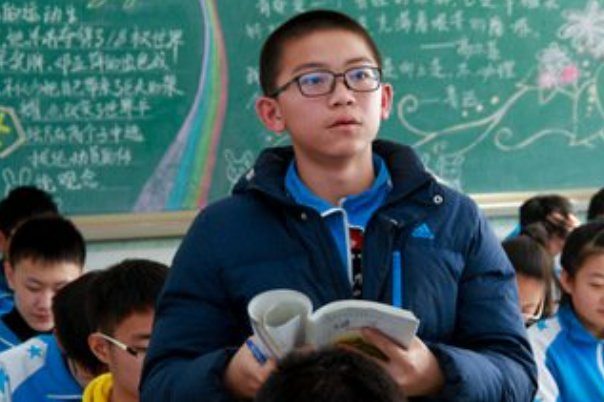 蜂出泉流打一正确动物生肖