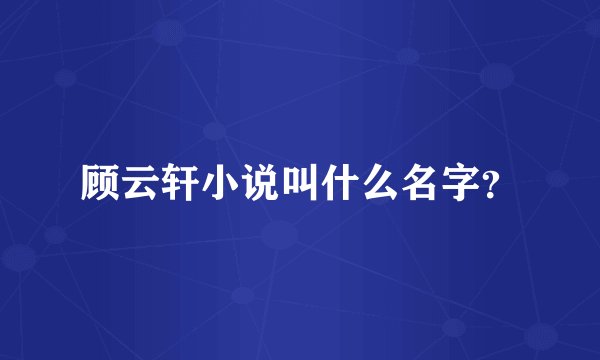 顾云轩小说叫什么名字？
