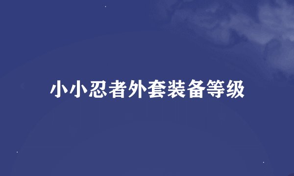 小小忍者外套装备等级