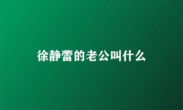 徐静蕾的老公叫什么