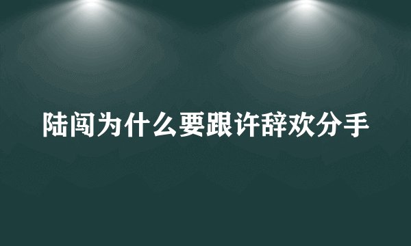 陆闯为什么要跟许辞欢分手