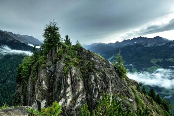 班主任的两座山峰作文，怎样写好作文？