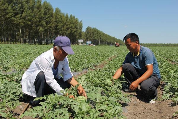 中央电视台的《致富经》栏目真的能让人致富吗？