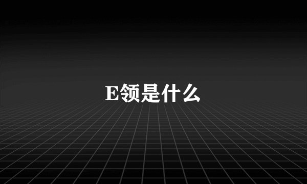 E领是什么