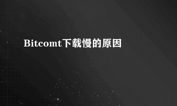 Bitcomt下载慢的原因