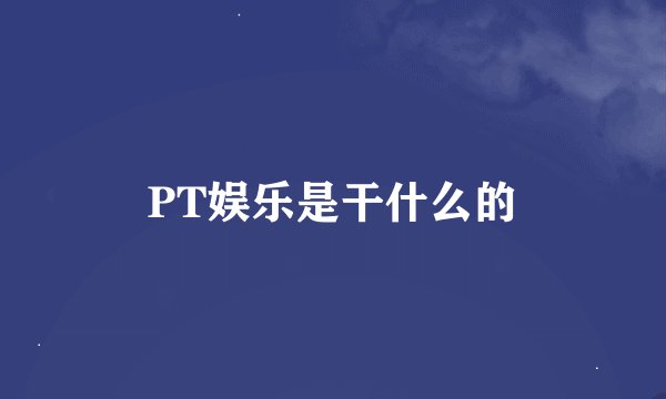 PT娱乐是干什么的