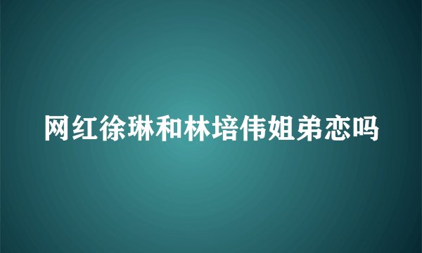 网红徐琳和林培伟姐弟恋吗